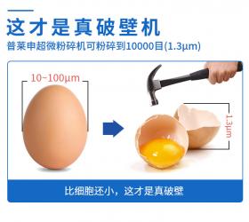 大型超微破壁粉碎機(jī)，為何要選普萊申？
