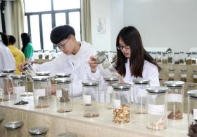 超微粉碎機在多個領(lǐng)域中的重要用途